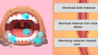 Perjalanan Makananku
